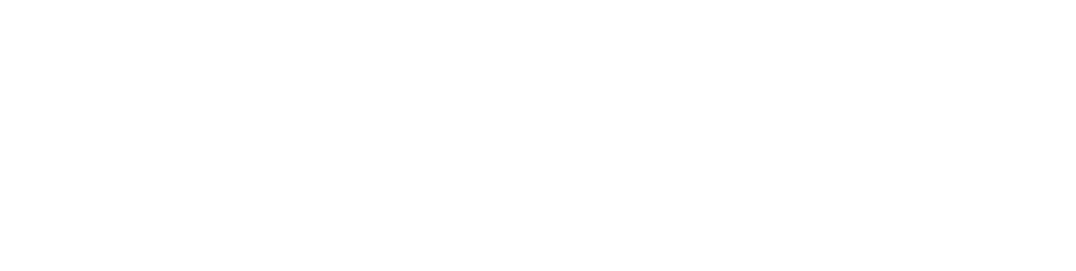 ACM INSAT Logo